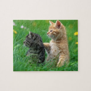 Kittens Quebra-cabeça