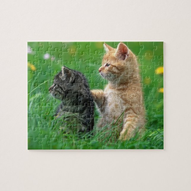 Kittens Quebra-cabeça (Horizontal)