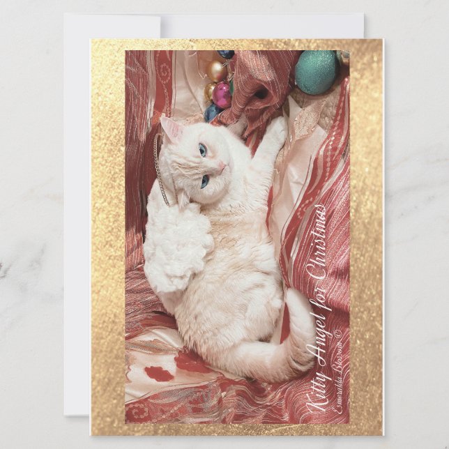 Kitty Angel for Christmas (Frente)