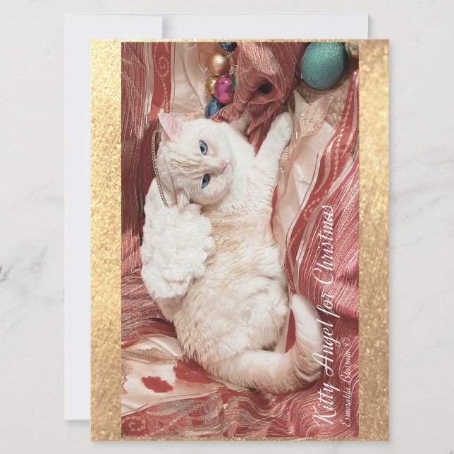 Kitty Angel para o Natal (Frente)