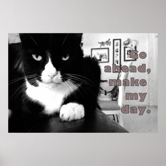 Kitty Attitude - Go Ahead, Make My Day Poster (Frente)