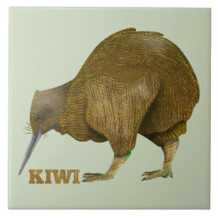 Kiwi — Nova Zelândia