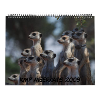 KMP Meerkats - calendário 2009