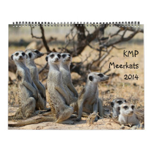 KMP Meerkats - calendário 2014