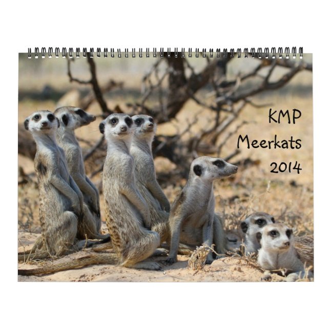 KMP Meerkats - calendário 2014 (Capa)