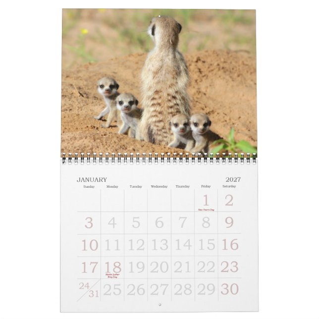 KMP Meerkats - calendário 2015 (Jan 2027)