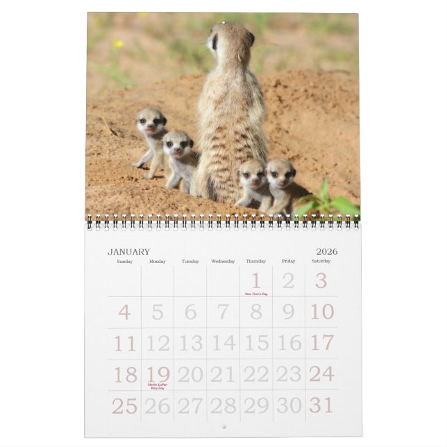 KMP Meerkats - calendário 2015 (Jan 2026)