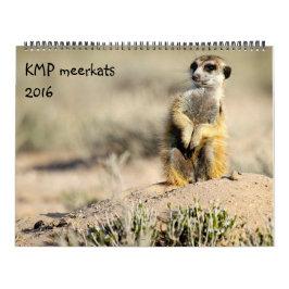KMP Meerkats - calendário 2016