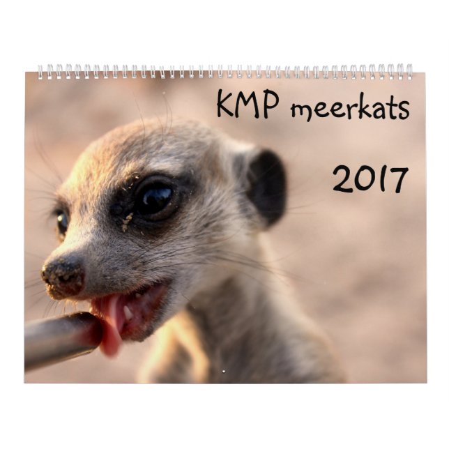 KMP Meerkats - calendário 2017 (Capa)