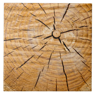 Knotty Wood Slice da Vida