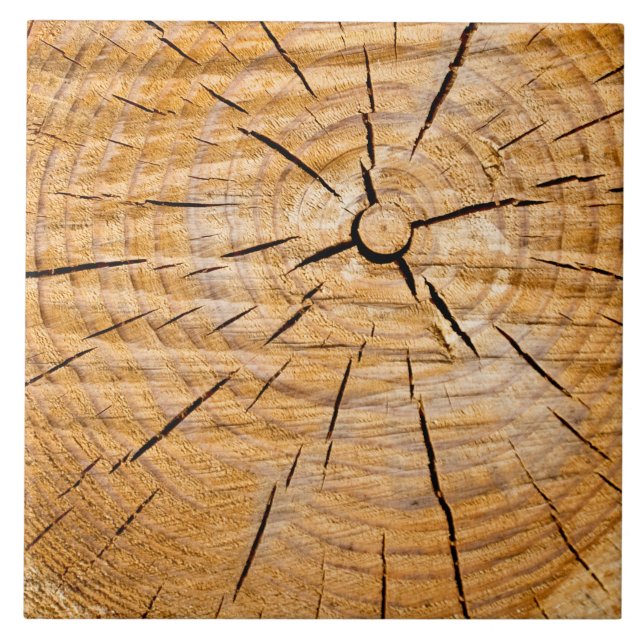 Knotty Wood Slice da Vida (Frente)