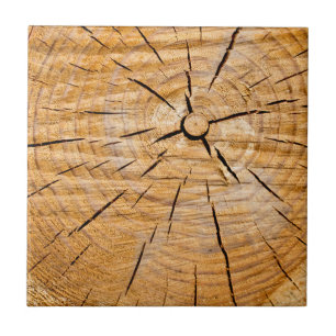 Knotty Wood Slice da Vida