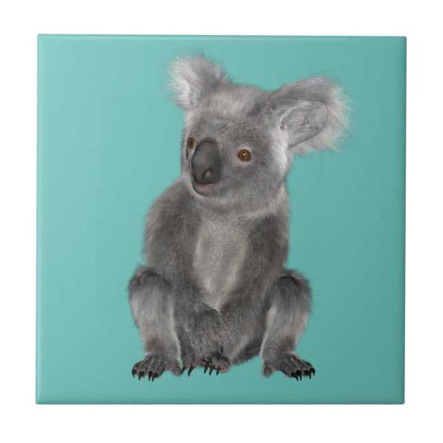 Koala Bear (Frente)