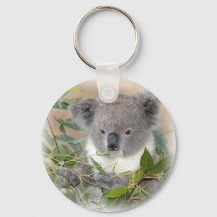 Koala Bear Chaveiro