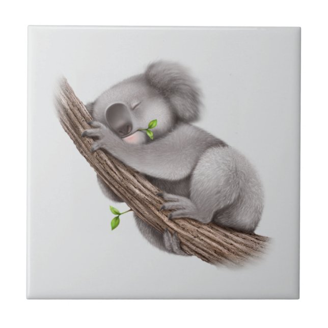 Koala Bear dormindo (Frente)