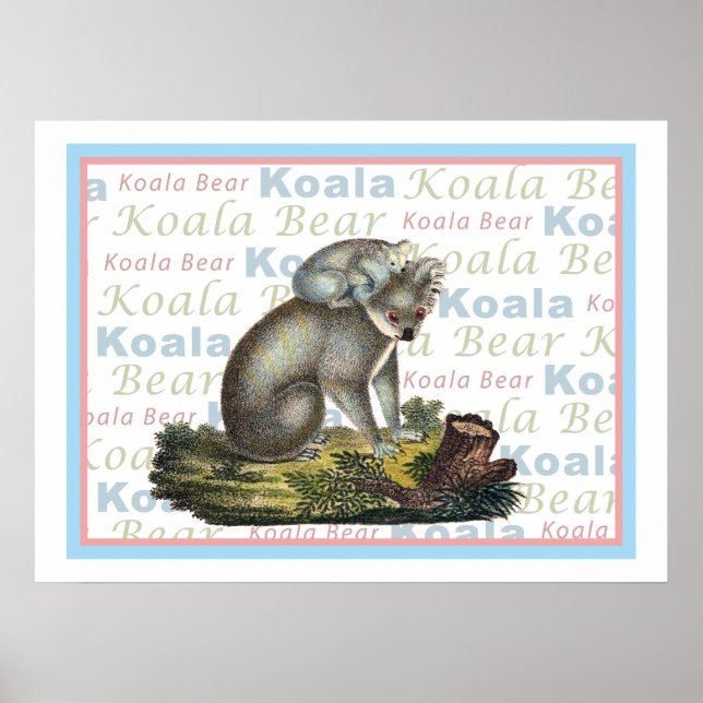 Koala Bear e Baby Poster (Frente)