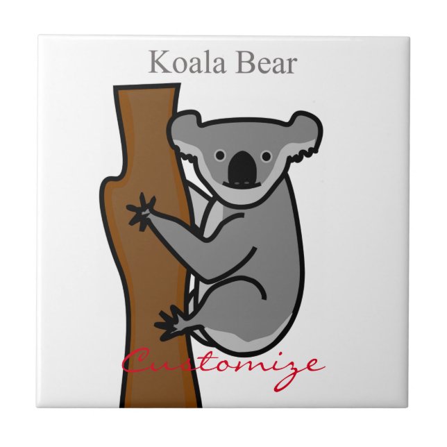 Koala Bear Subindo Árvore Troço_Cove (Frente)