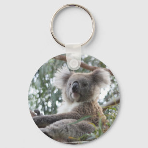 Koala Chaveiro
