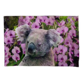 Koala e orquídeas