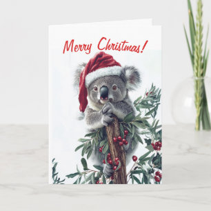 Koala em um cartão de Natal do Papai Noel