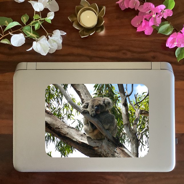 Koala - Etiquetas para presentes dormindo (Criador carregado)