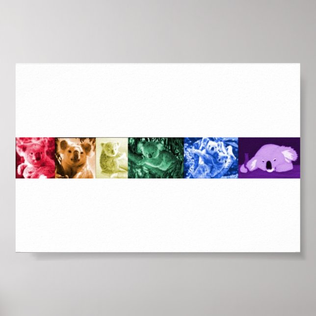 Koala Love Poster (Frente)
