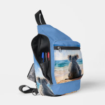 Koala olhando para o oceano