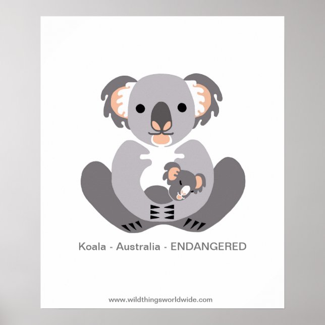 Koala - poster (Frente)