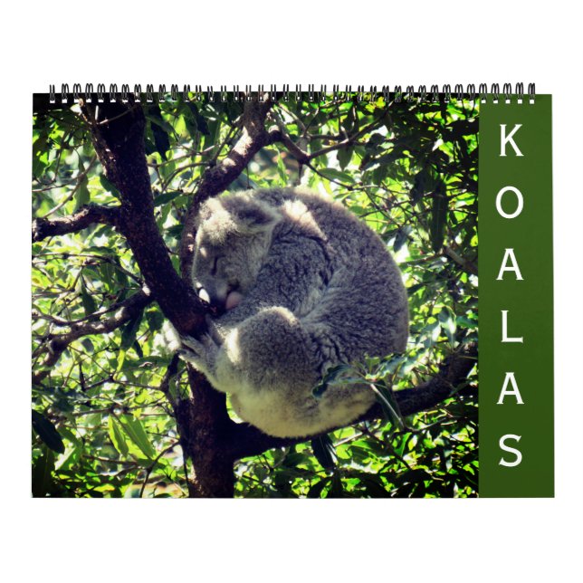 koalas 2025 grande calendário (Capa)