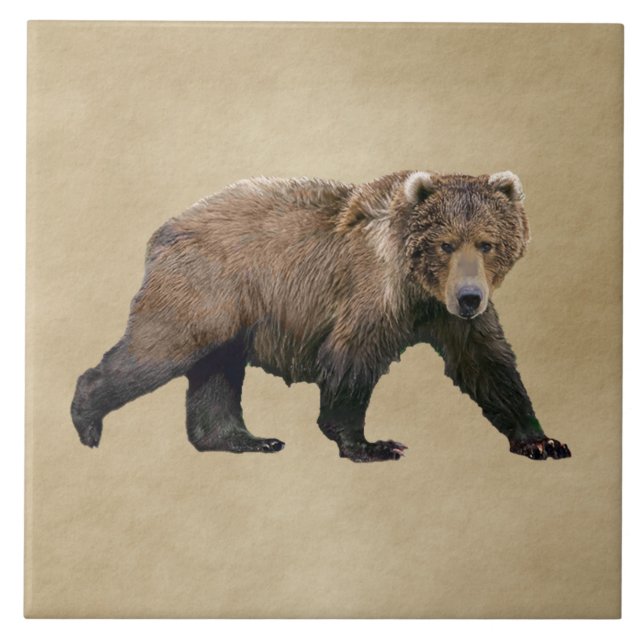Kodiak Bear (Frente)
