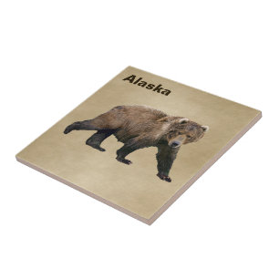 Kodiak Bear