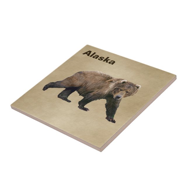 Kodiak Bear (Lateral)