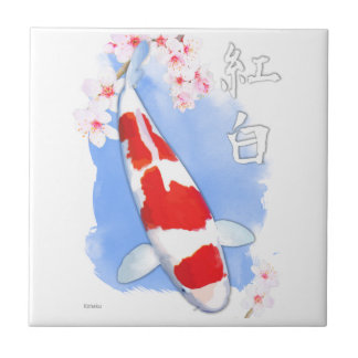 Kohaku Koi