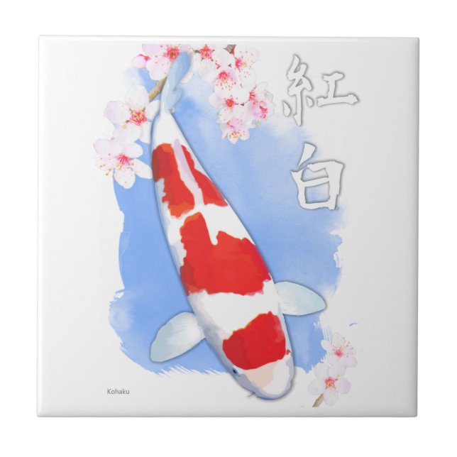 Kohaku Koi (Frente)