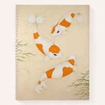 Kohaku Koi Carp Fishes Art Impressão