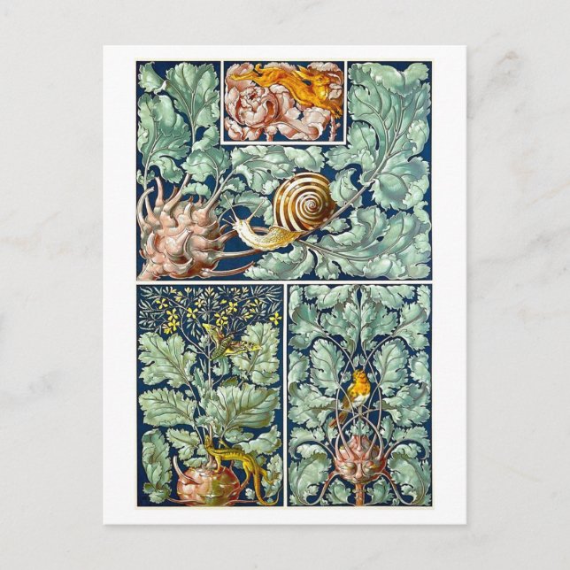 Kohlrabi como cartão postal de objeto decorativo (Frente)