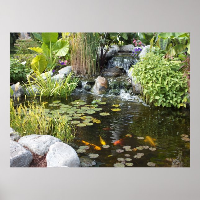 Koi Pond com Poster de Waterfall (Frente)