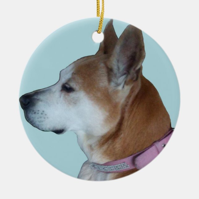 Kona para o ornamento de Mary (Frente)