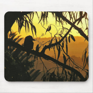 Kookaburra australiano Sunset Mousepad