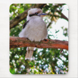 Kookaburra Bird em um galho de árvore Mousepad