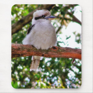 Kookaburra Bird em um galho de árvore Mousepad