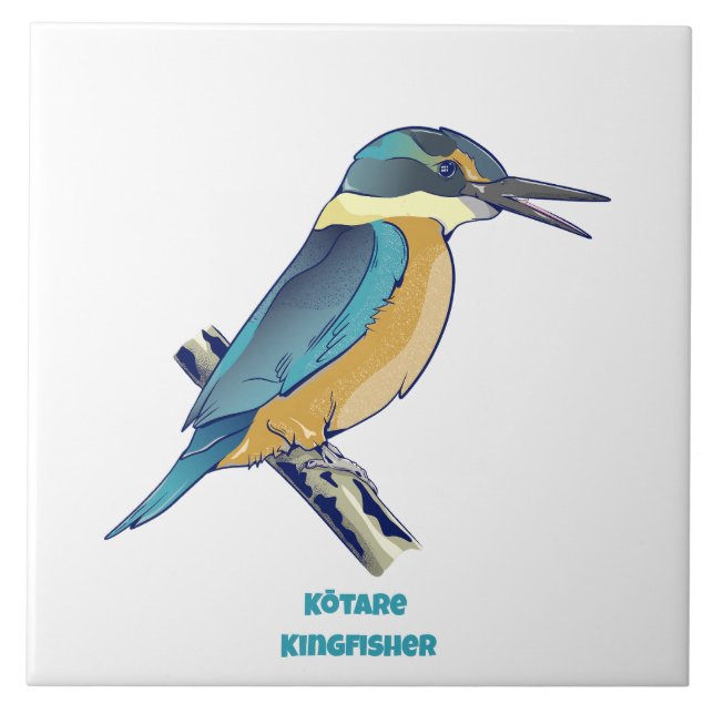 Kotare Kingfisher NZ BIRD (Frente)