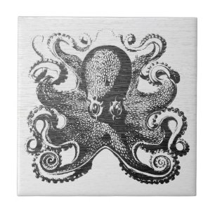 Kraken Polígrafo Vintage - Arte Náutica