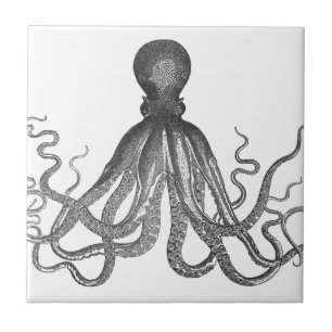 Kraken - Polvo Gigante Negro / Cthulu