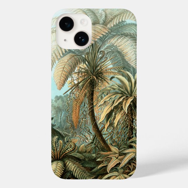 Kunstformen der Nature, Filicinae - Ernst Haeckel (Verso)