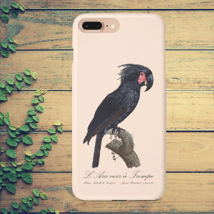L' Ara Noir a Trompe / Palm Cockatoo