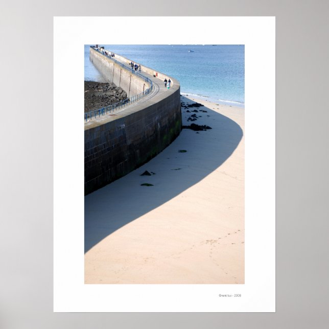 LA JETEE Poster (Frente)