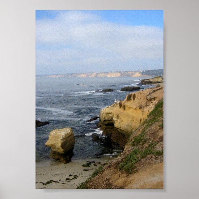 La Jolla Beach Seabirds Custom Poster Art Impressã (Frente)