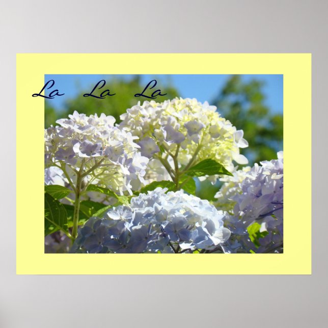 La La La art impressões Blue Lavanda Hydrangeas (Frente)