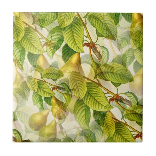 La Pera Pear (Frente)